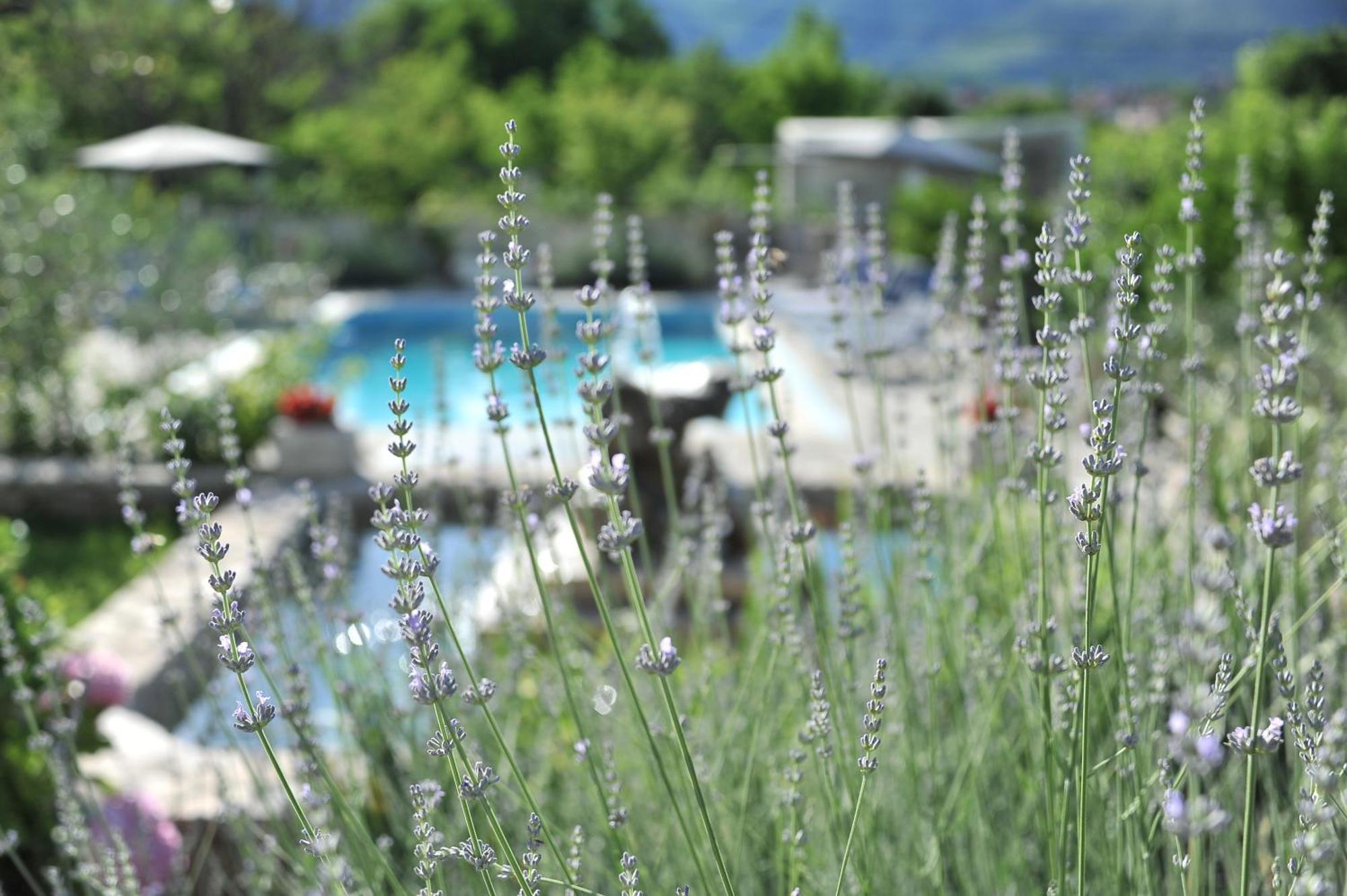 Ferienwohnung Pool House Maslina Mostar Exterior foto
